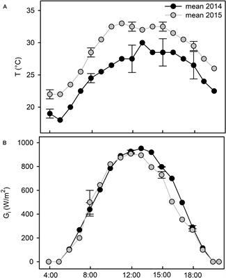 Coordination of Morpho-Physiological and Metabolic Traits of Cistus incanus L. to Overcome Heatwave-Associated Summer Drought: A Two-Year On-Site Field Study